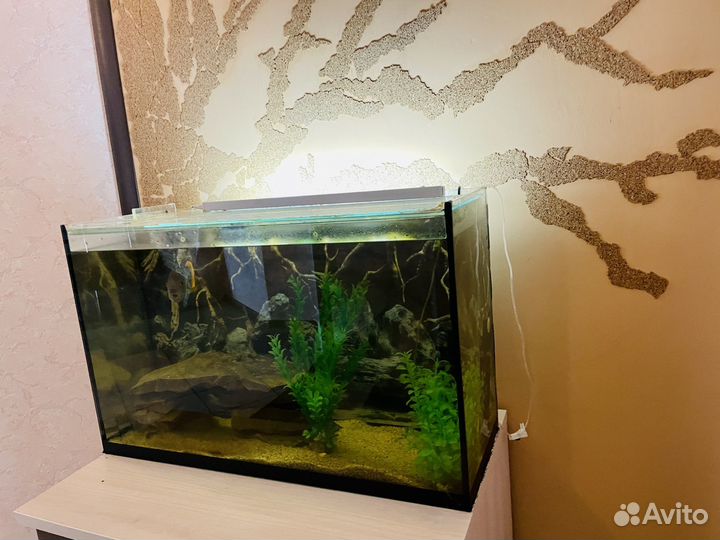 Аквариум бу