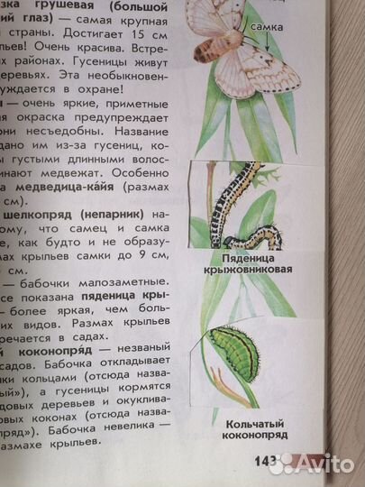 Атлас определитель от земли до неба