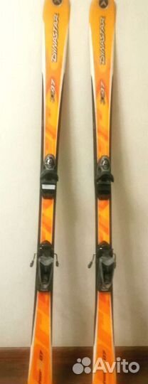 Горные лыжи