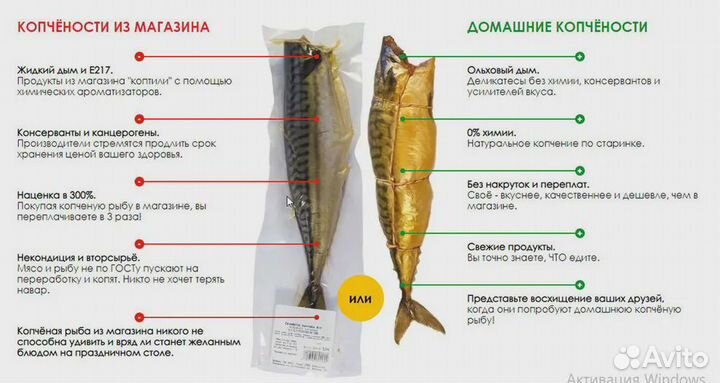 Коптильня холодного копчения Дым Дымыч 02М из нерж