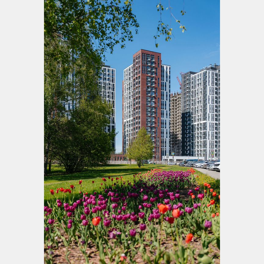 2-к. квартира, 55,5 м², 30/30 эт.