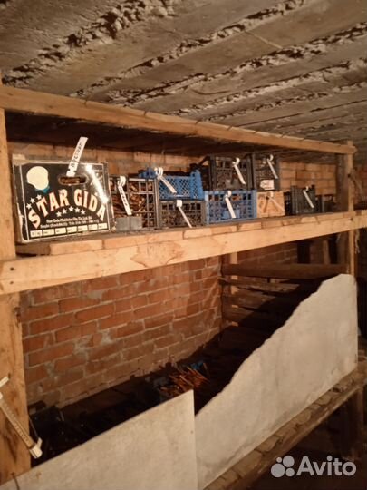 Черенки (чебуки) винограда