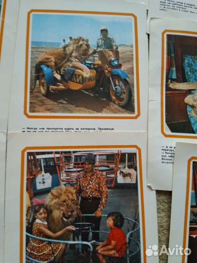 Набор открыток