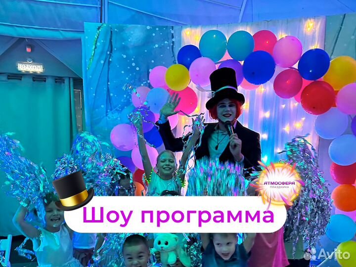 Шоу программа детская / Аниматоры день рождения