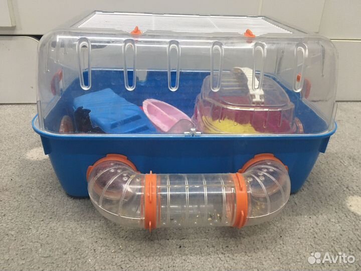 Клетка для джунгарского хомяка