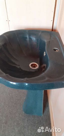 Раковина тюльпан