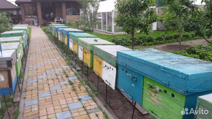 Ульи лежаки для пчел пустые 15шт