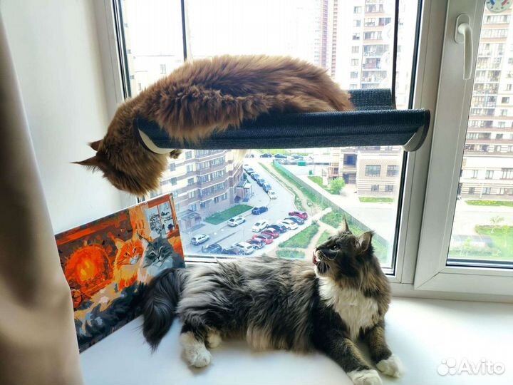 Гамак- лежанка на окно