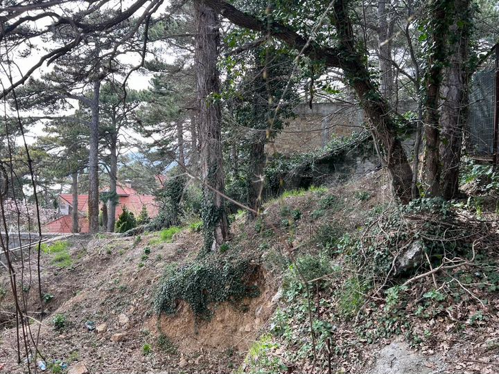 Участок 3,1 сот. (ИЖС)