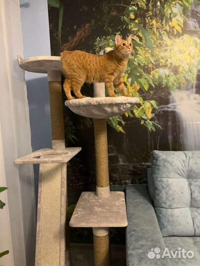 Когтеточки домики разборные игровые комплексы