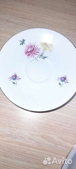 Набор столовой посуды астры