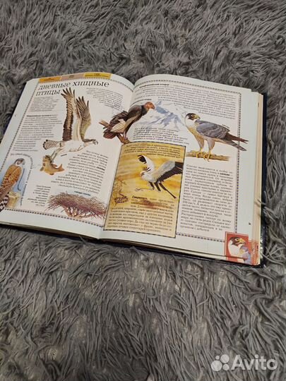 Большая энциклопедия животных