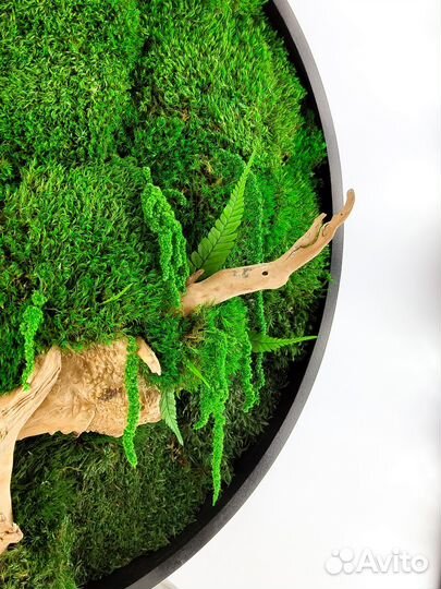 Часы из мха стабилизированного