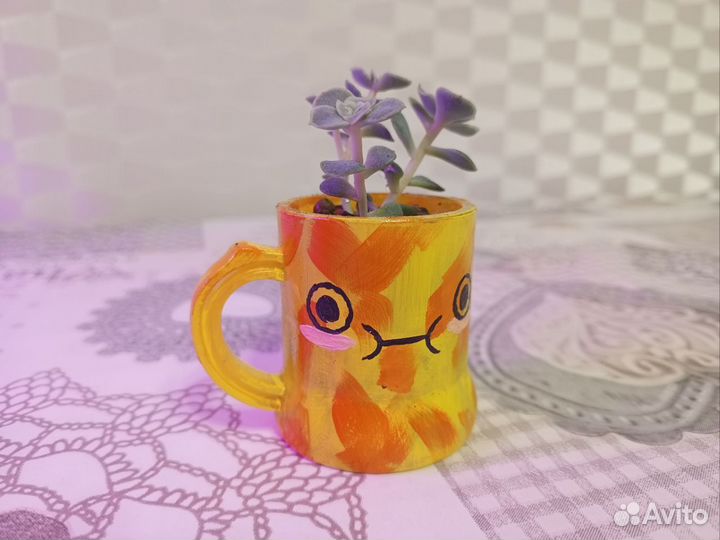 Суккуленты Эхеверии в мини кашпо