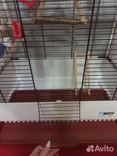 Клетка для попугая