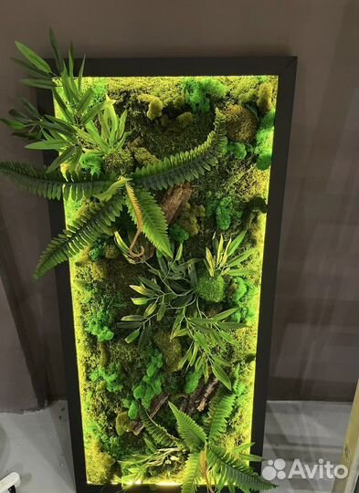 Панно из стабилизированного мха