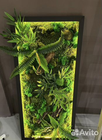 Панно из стабилизированного мха
