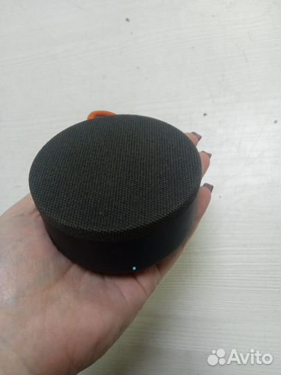 Портативная колонка Xiaomi xmyx04WN