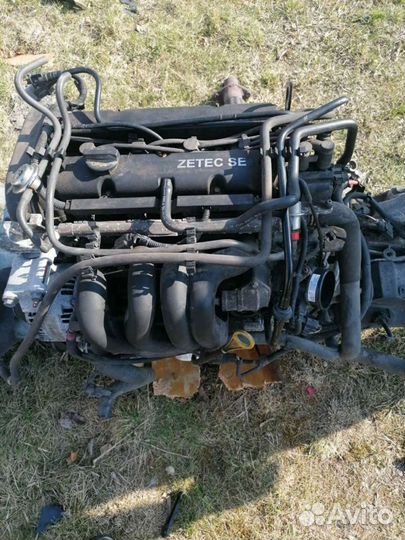 Двигатель на форд фокус 1 1,6