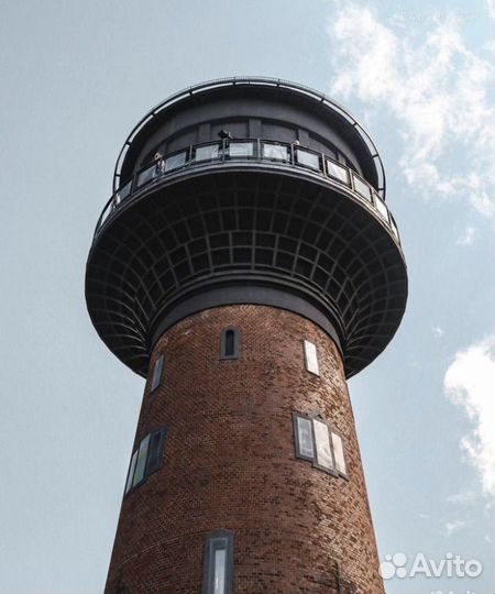 Аренда авто с водителем. Транфер