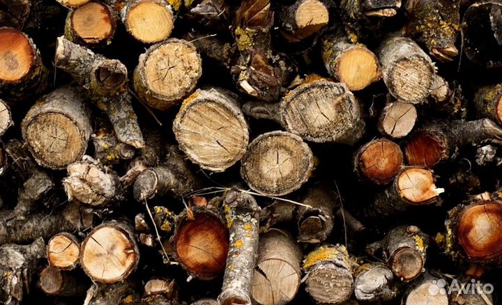 Дрова из Буратино