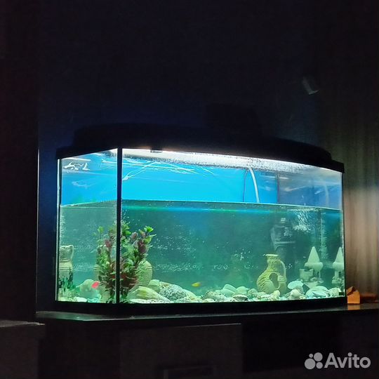 Украшение для аквариума