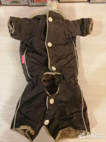 Одежда для маленьких собак