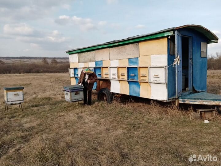 Передвижной одноосный павильон для пчёл