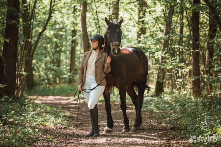 Обучение верховое езде. Конный спорт