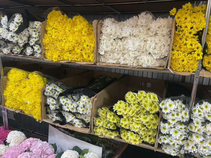 Букет из кустовых хризантем с доставкой по Москве