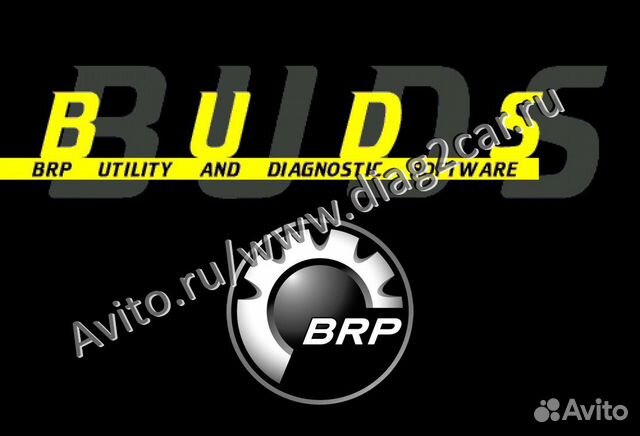 Лицензия BRP buds1 Все дилеры 10 лет