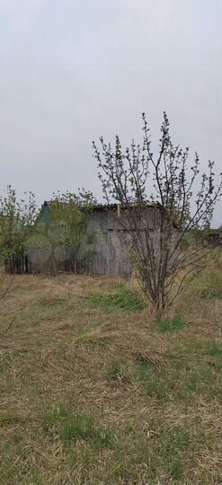 Участок 12 сот. (ИЖС)