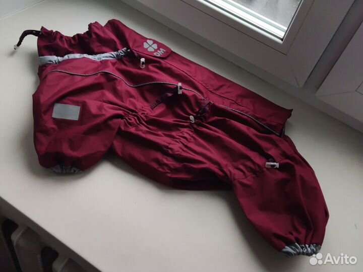 Одежда для собаки