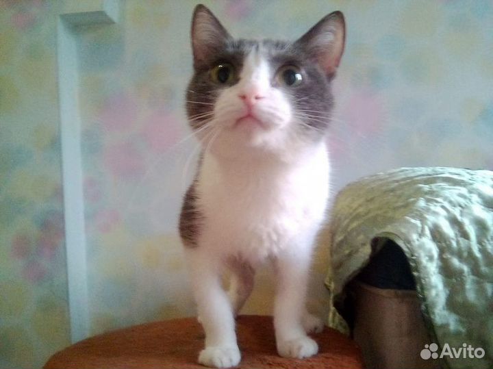 Малышка девочка Даша