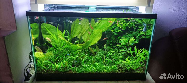 Аквариум