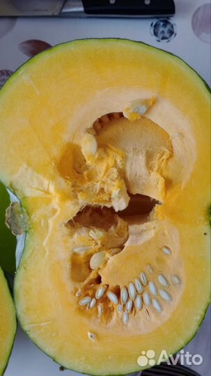 Тыква кабачки