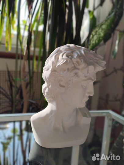 Гипсовая фигура Академическая бюст Давида новый