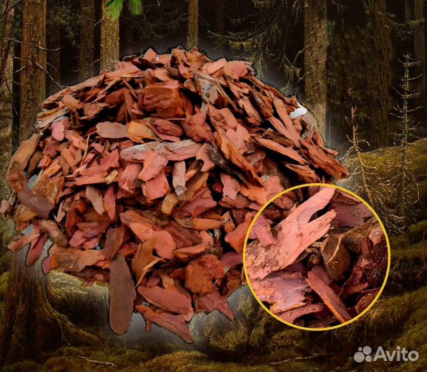Кора сосны и лиственницы. Фракции: 0-1, 1-4, 4-10