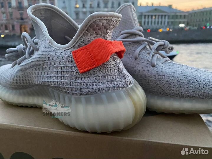 Кроссовки Adidas Yeezy Boost 350 v2 Tail Light