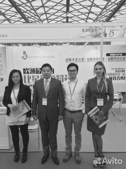 Китайский язык