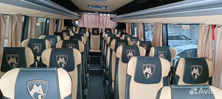 Туристический автобус Foxbus Daily, 2021