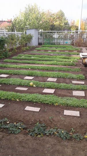 Коттедж 194 м² на участке 6 сот.