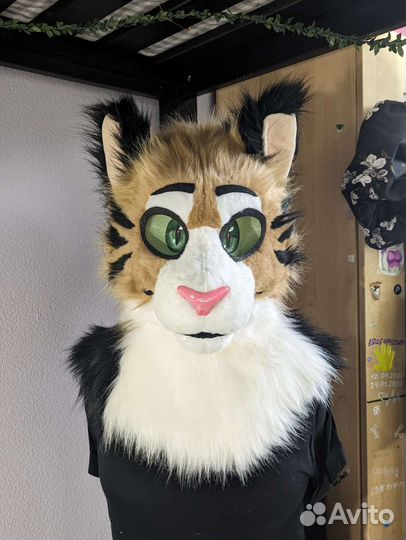Фурсьют кота, тигра