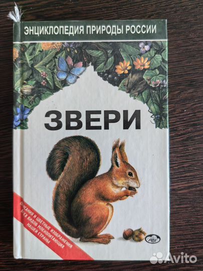 Энциклопедия природы России. Звери