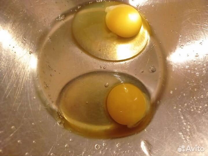 Домашние куриные яйца
