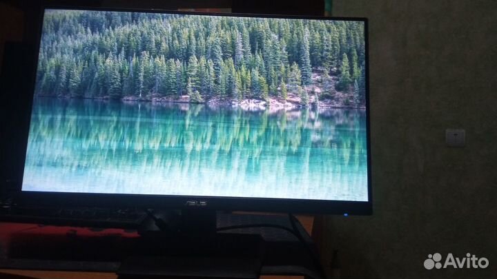 Asus VA24EHE монитор