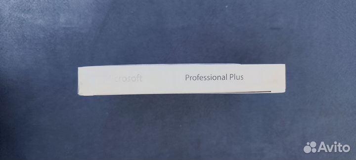 Microsoft Office 2021 professional plus