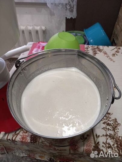 Домашняя молочная продукция