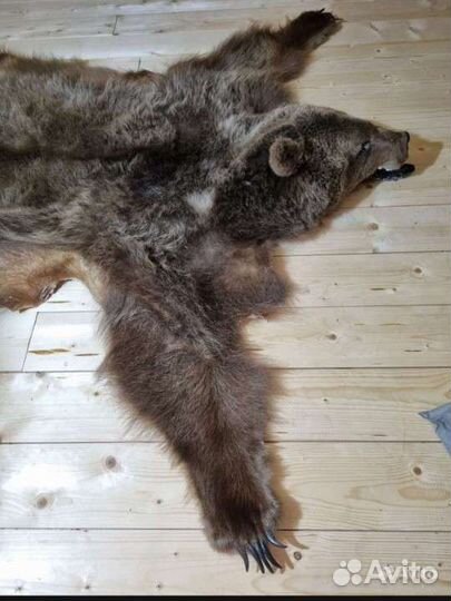 Шкура медведя имитация