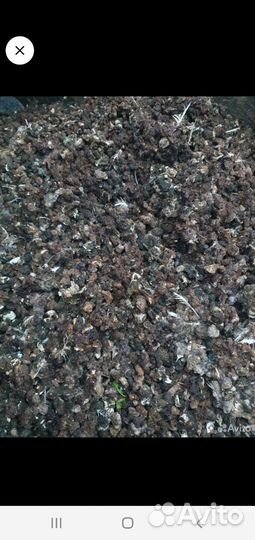 Помет в мешках перепелиный